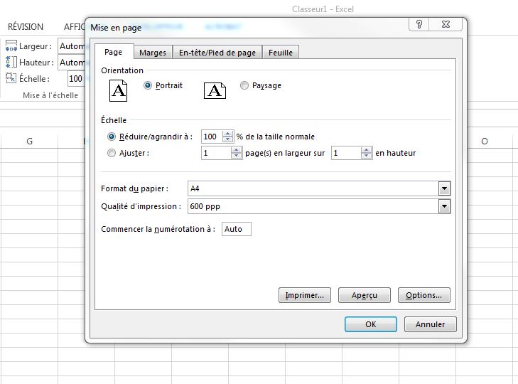 fenetre mise en page excel